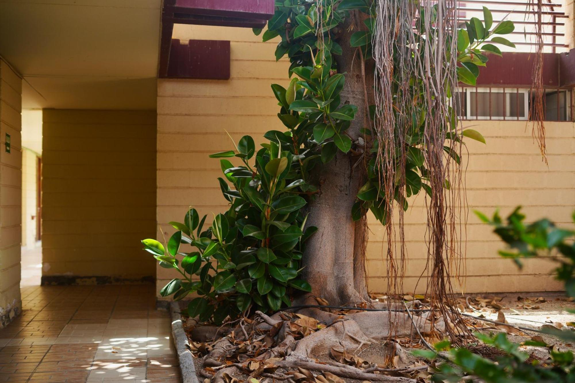 Apartamento El Gato Costa Del Silencio Exterior foto